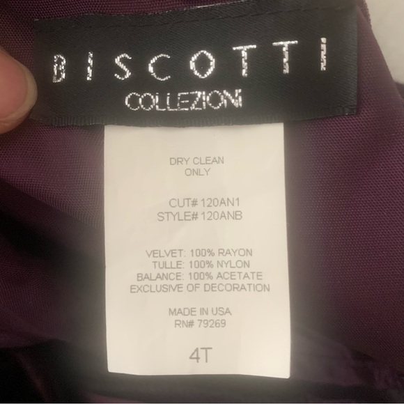 BISCOTTI Collezioni Velvet and Taffeta Special Occasion Fancy Dress Size 4T - Picture 3 of 16
